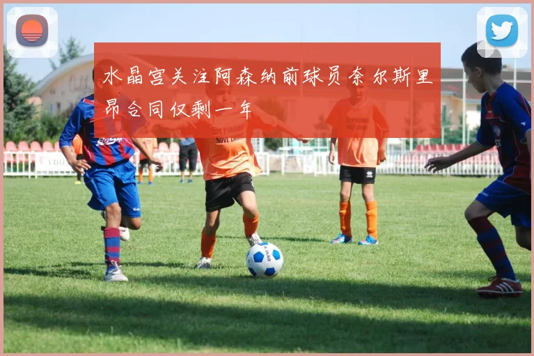 水晶宫关注阿森纳前球员奈尔斯里昂合同仅剩一年