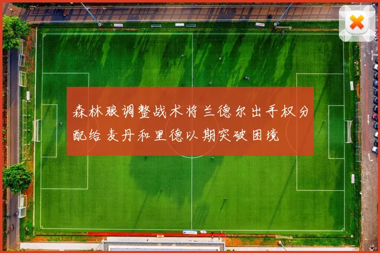森林狼调整战术将兰德尔出手权分配给麦丹和里德以期突破困境